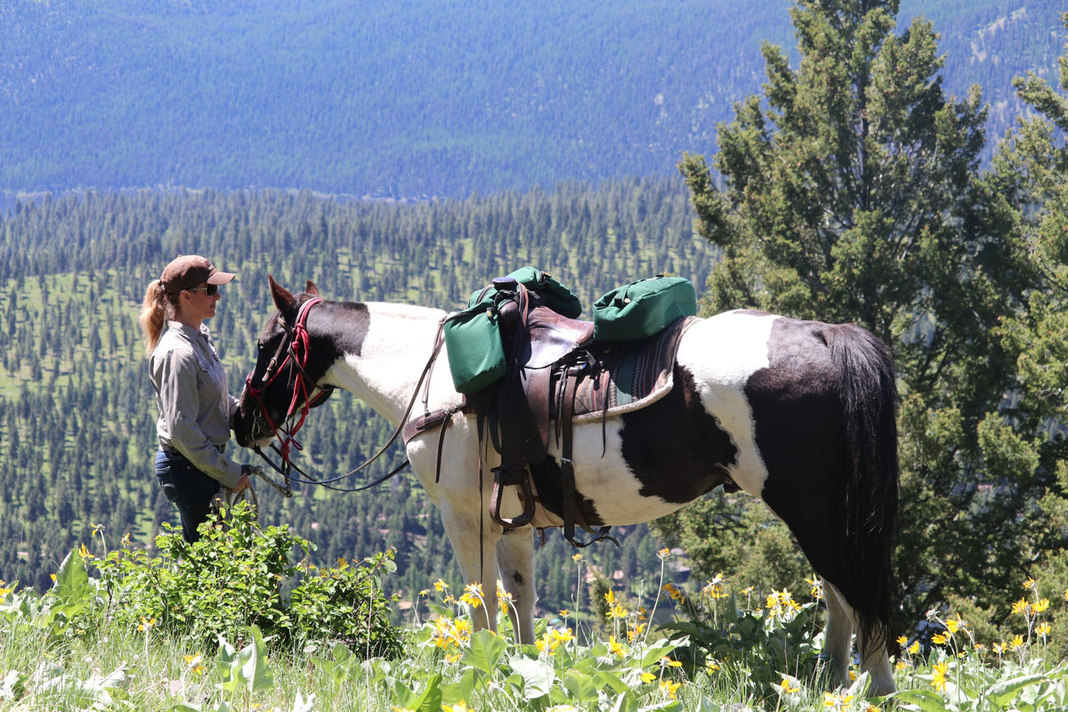 Medium Horse Horn Bag and Cantle Bag Saddle Bag Combo N85268