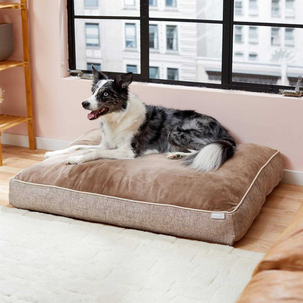 Plush Orthopedic Dog Bed with Removable Cover J55581