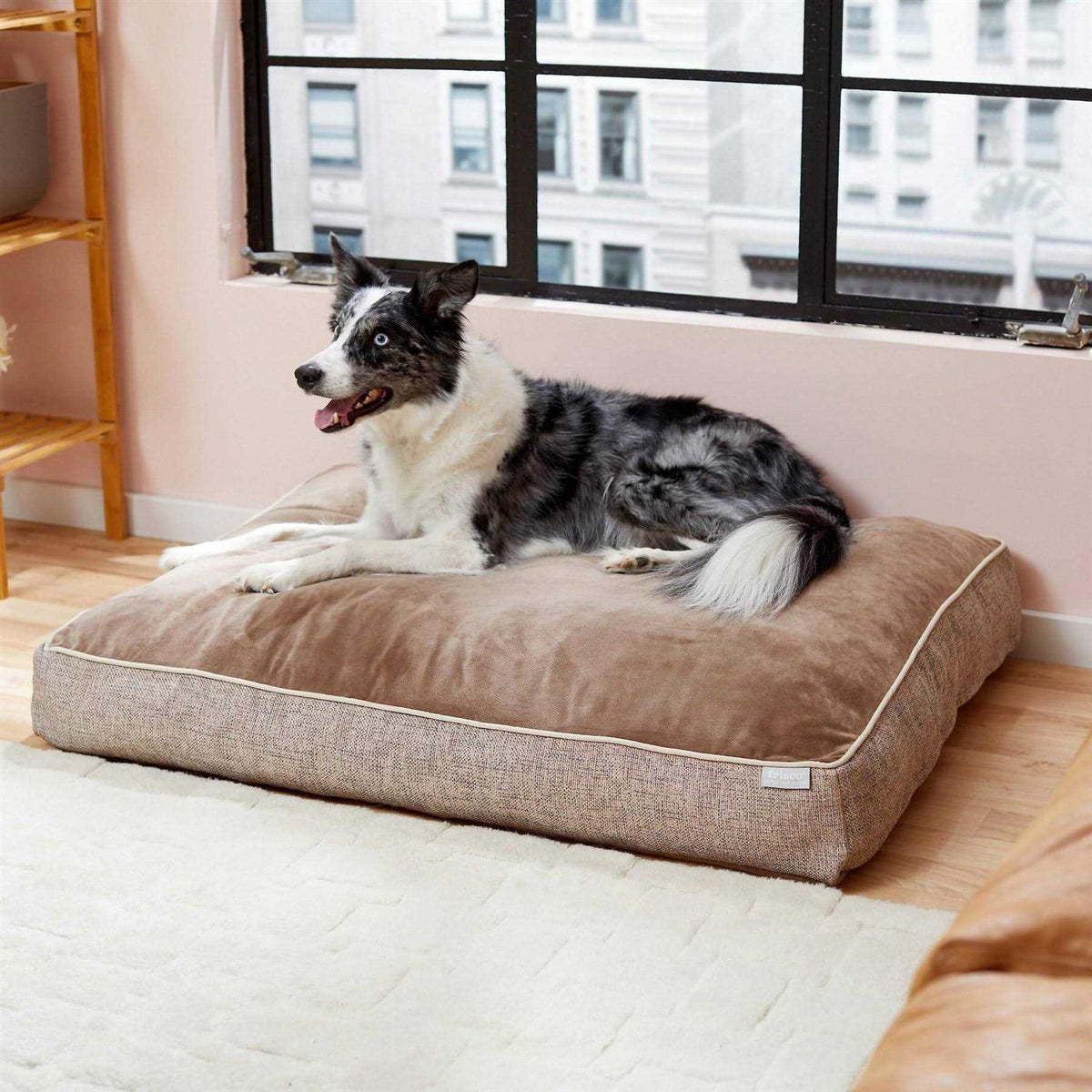Plush Orthopedic Dog Bed with Removable Cover J55581