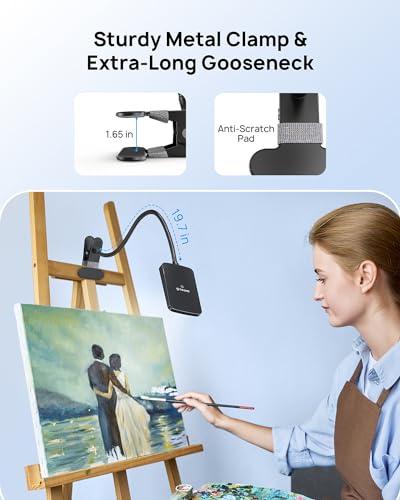 LED Desk Lamp with Clamp, 3-Level Dimmable, Flexible Gooseneck J137521