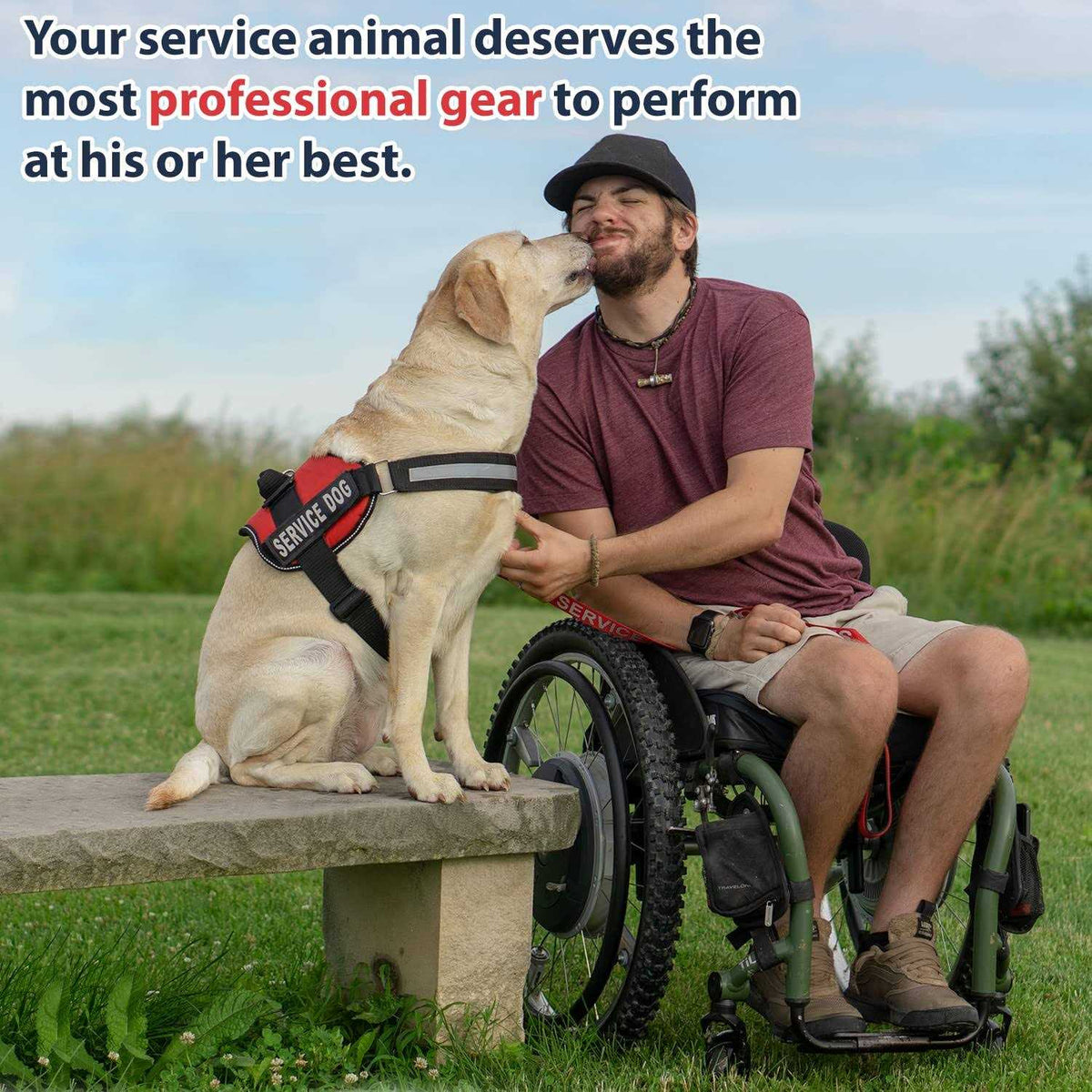Service Dog Vest with Hook and Loop Straps and Handle H568