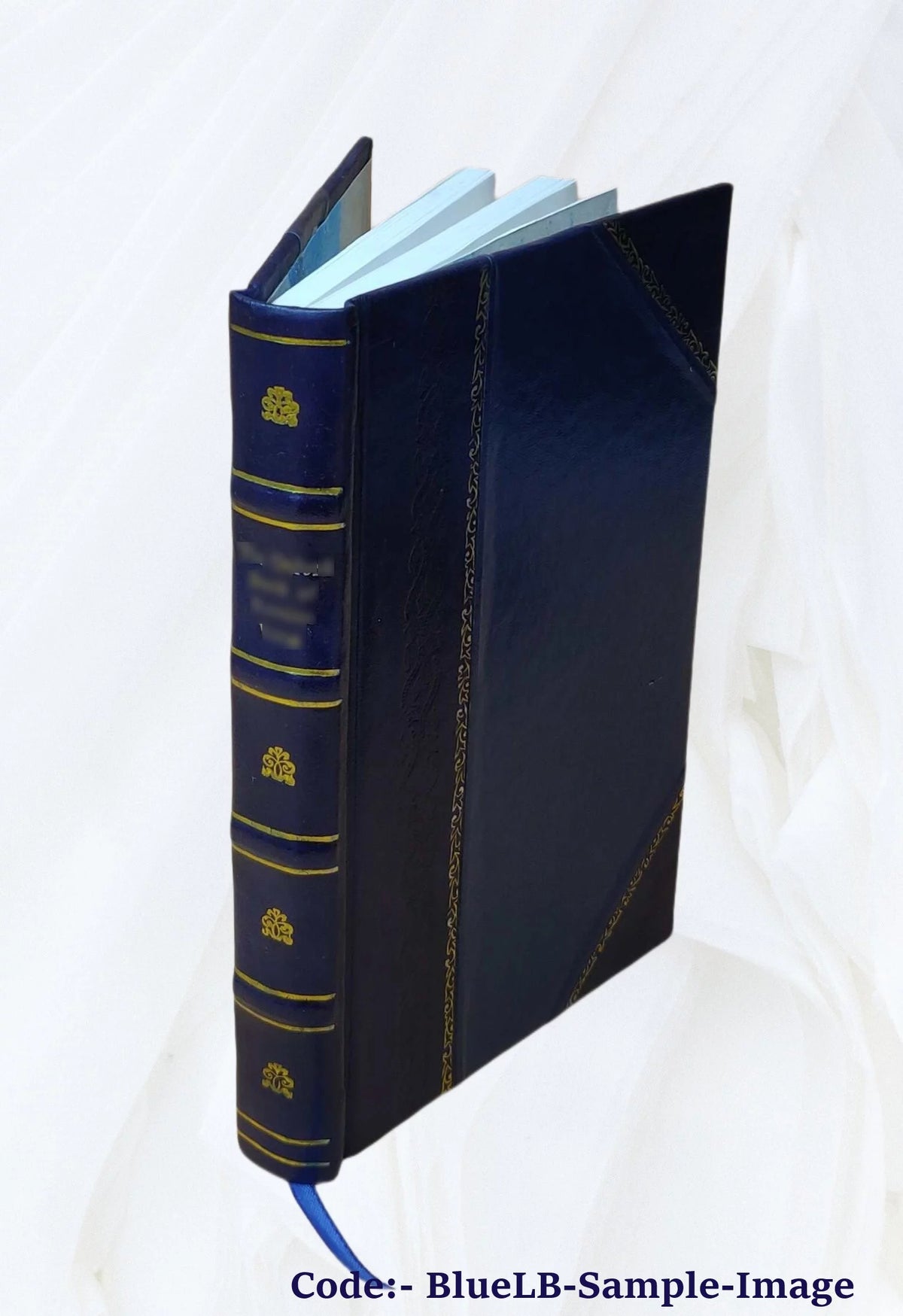 Water Supply of the United States 1958 Snake River Basin Leather Bound Y244