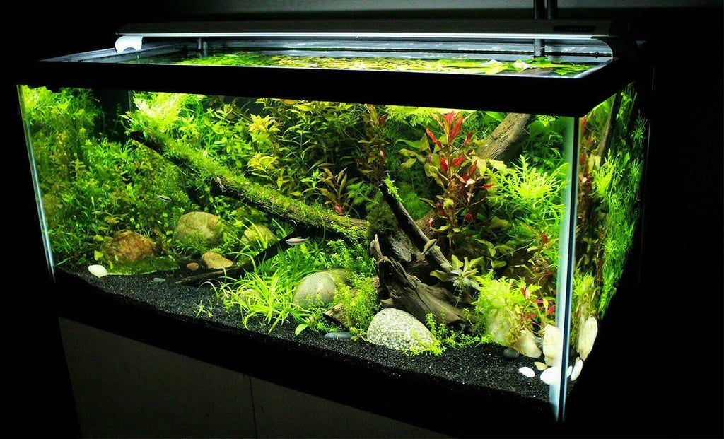 Automated LED Aquarium Light M1186