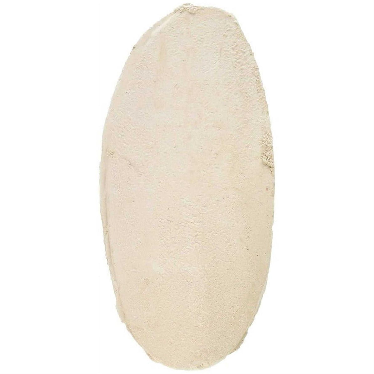 Natural Flavor Cuttlebone R9523