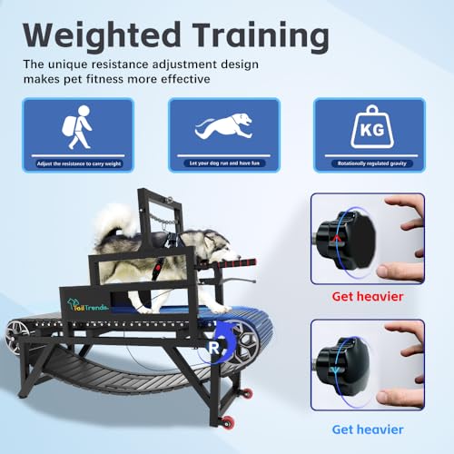 Dog Treadmill with Brake & Resistance Adjustment, Supports Up to 300 lbs K562