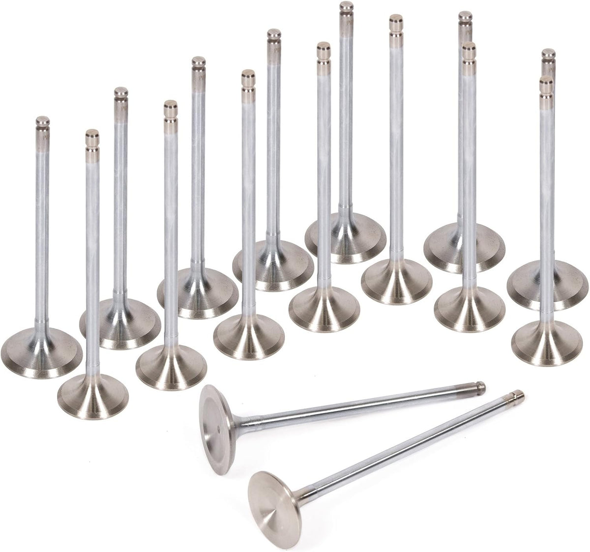 Full Gasket Set Head Bolts Intake Exhaust Valves for Honda Accord Prelude 2.2 F22A 16V Q1267