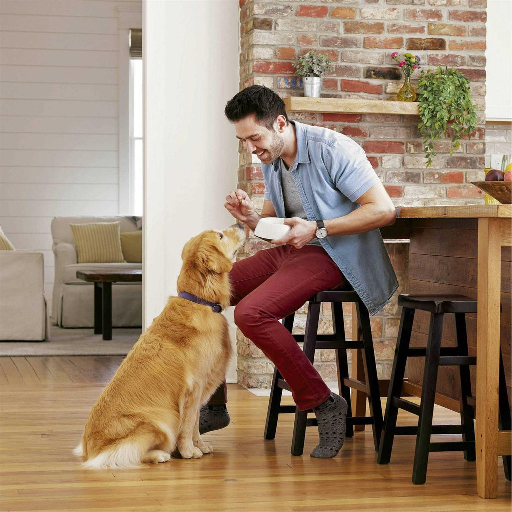 Healthy Digestion Dry Dog Food with Real Chicken F624023
