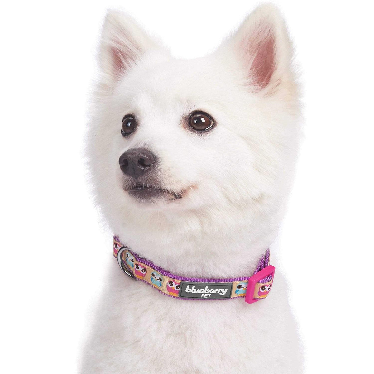 Dog Collar O326
