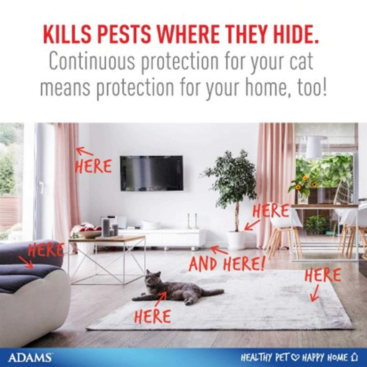 Flea and Tick Spray for Cats G920