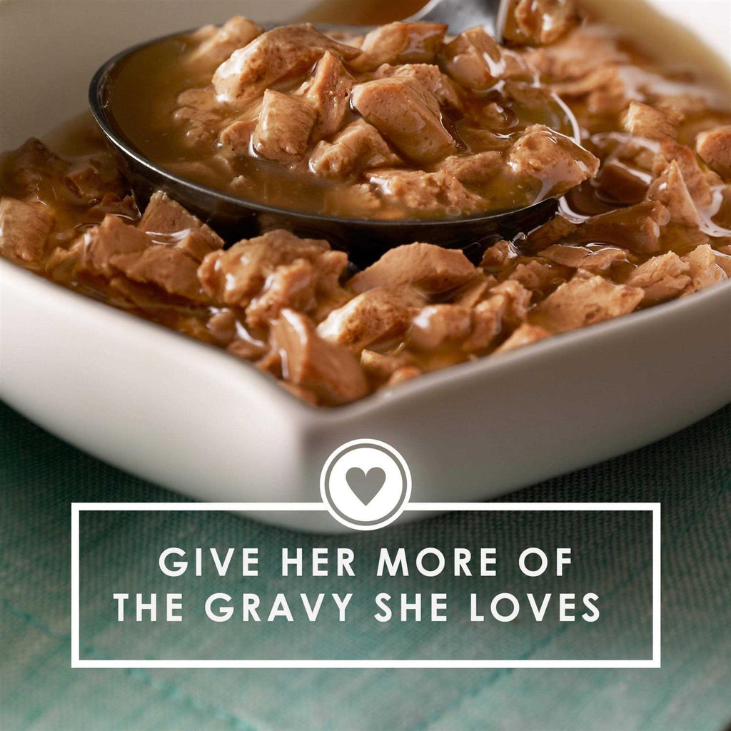 Gravy Lovers X376