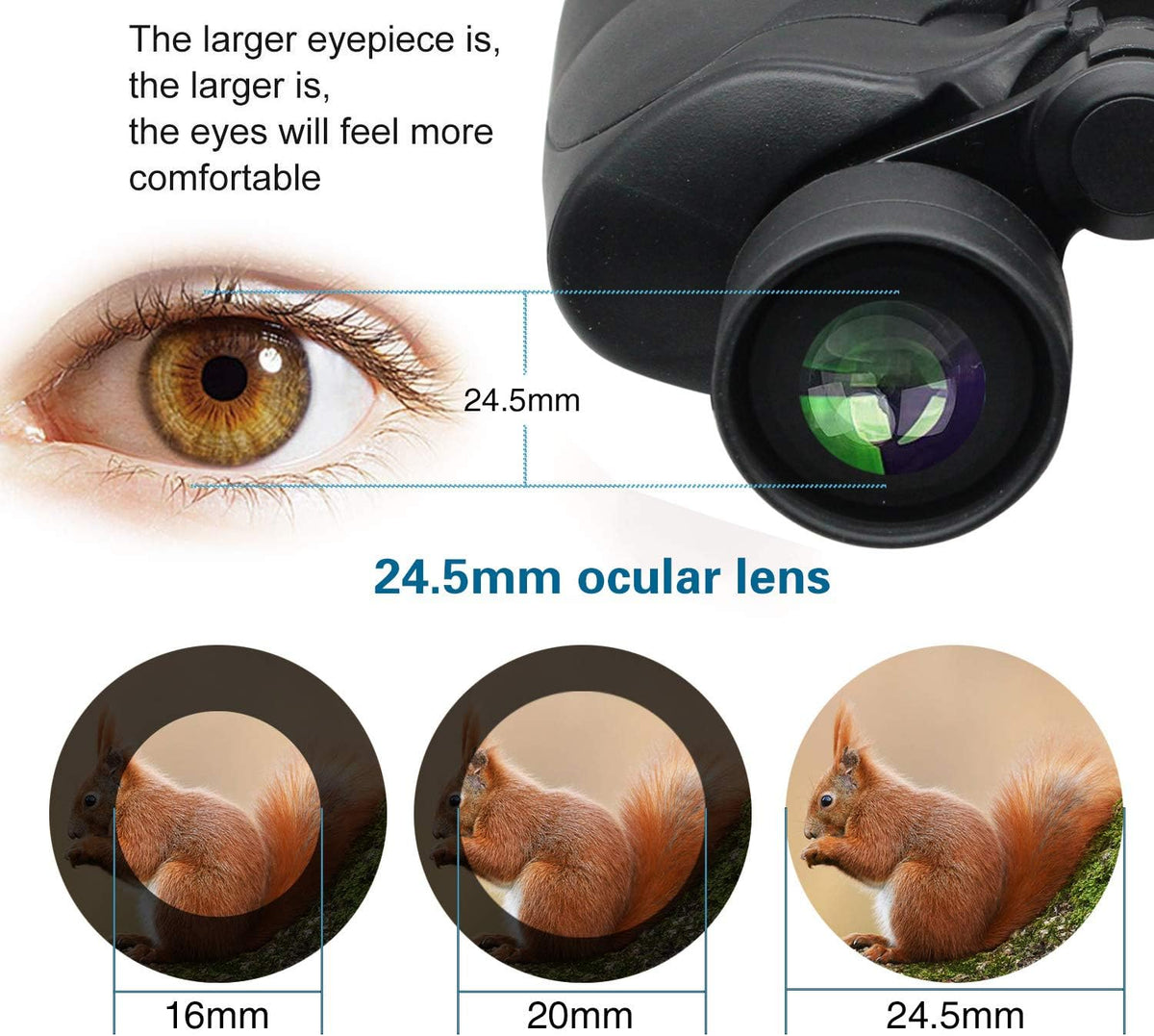 10x50 Waterproof Binoculars with Case and Strap K36614