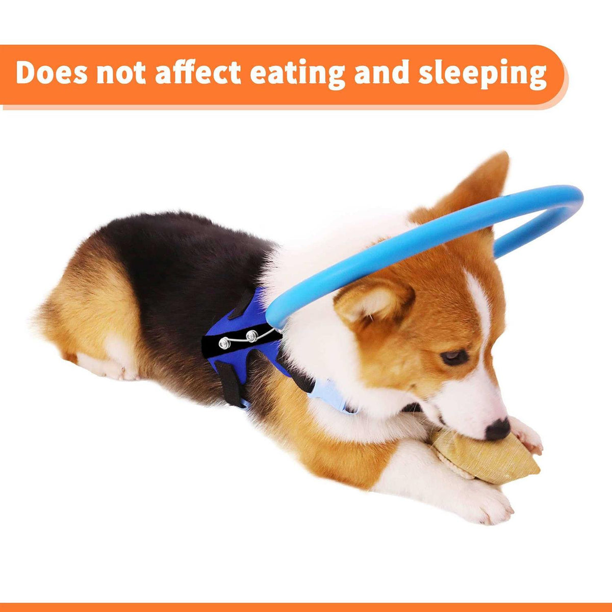 Blind Dog Harness Guiding Device B783