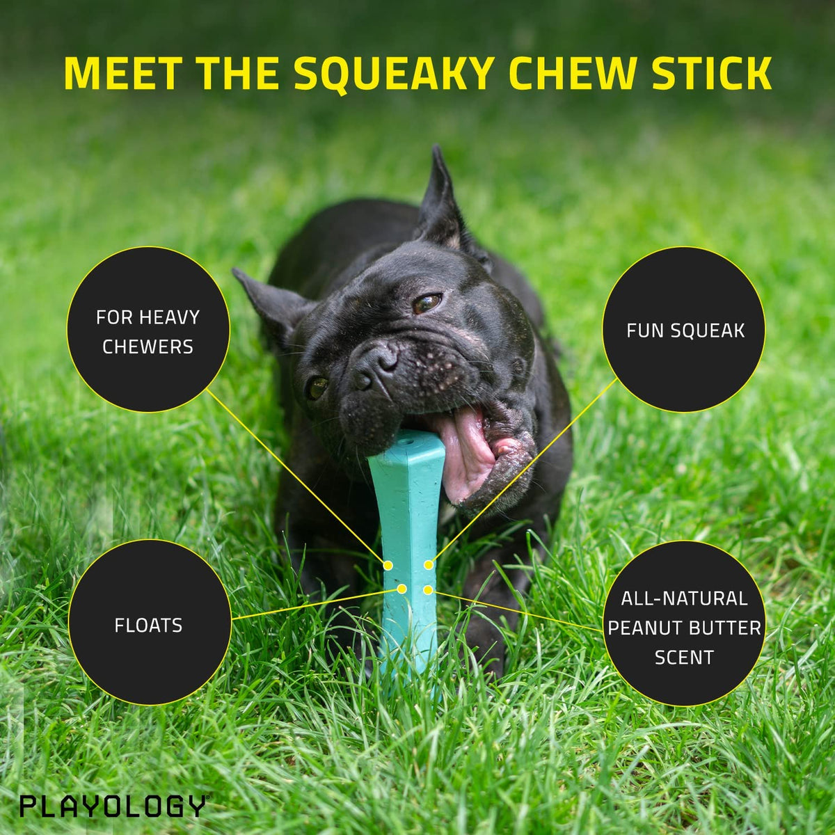 Blue Squeaky Dog Chew Stick Toy O6408