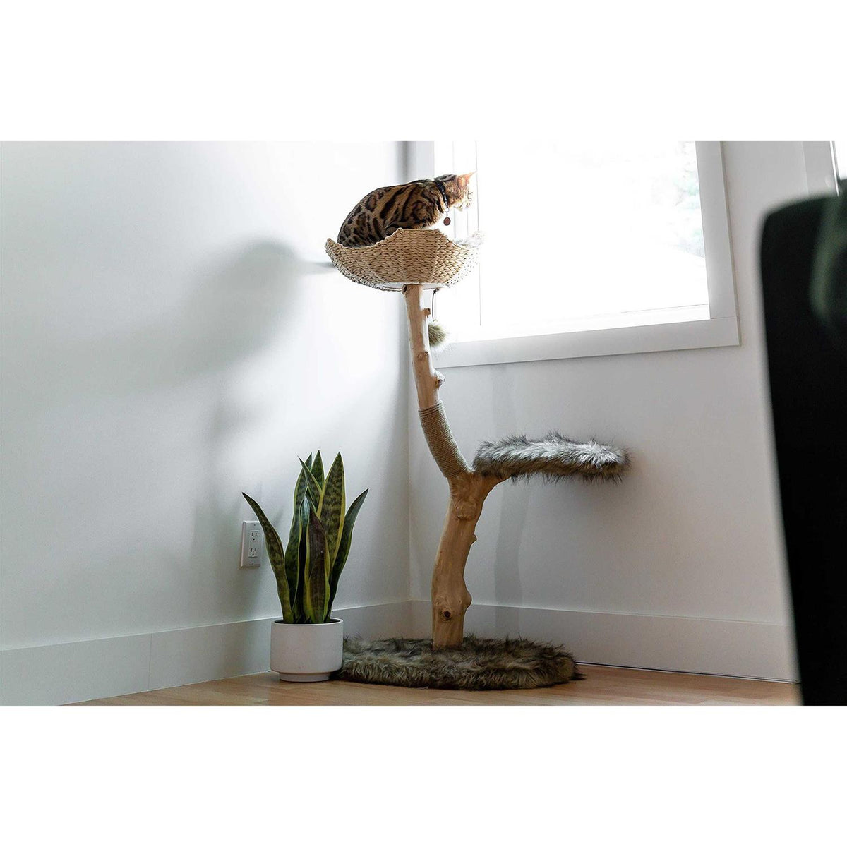 Cat Tree E4824