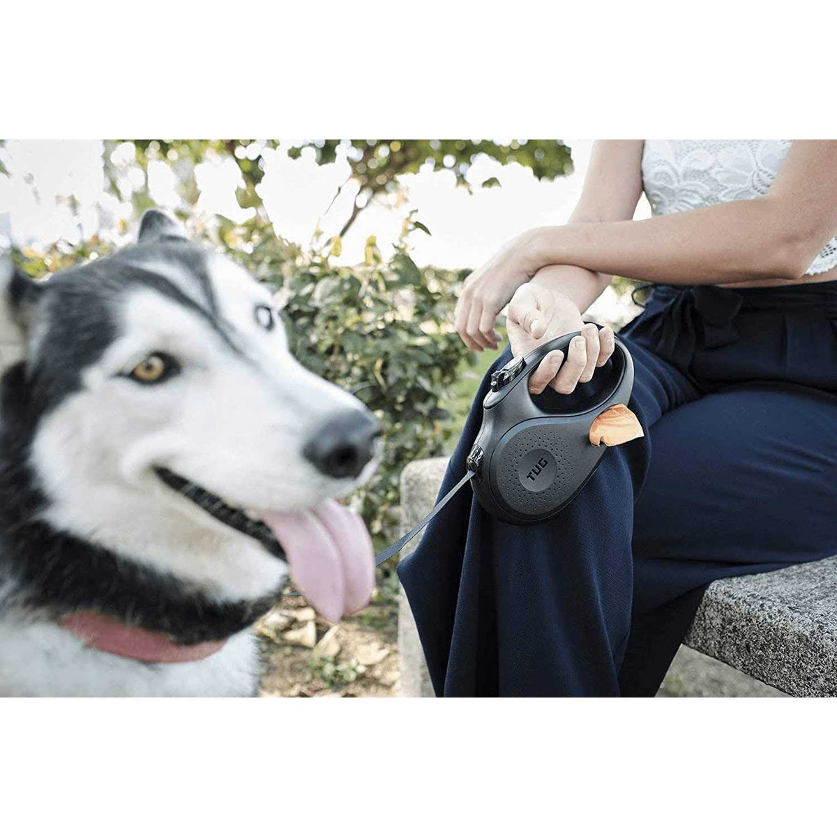 Retractable Dog Leash W429000