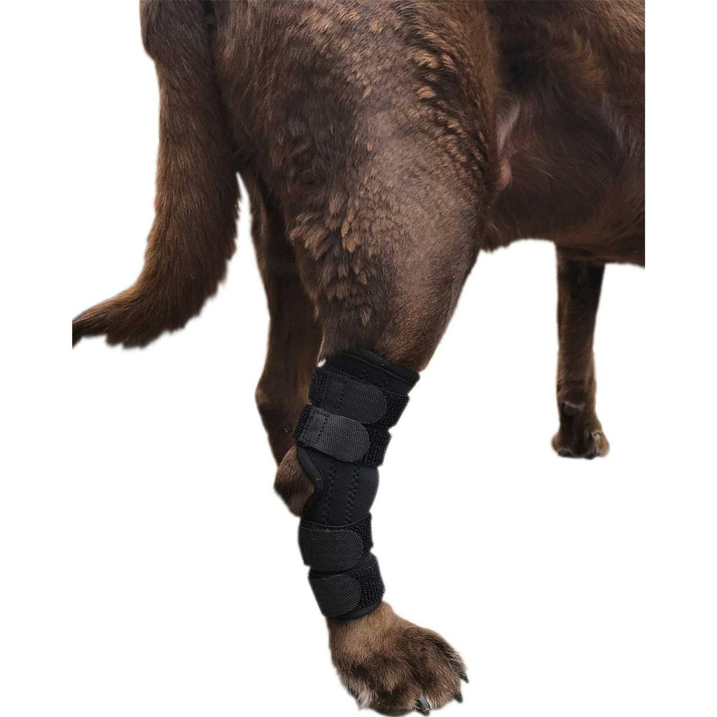 Dog Rear Leg Hock Joint Wrap Brace X79310