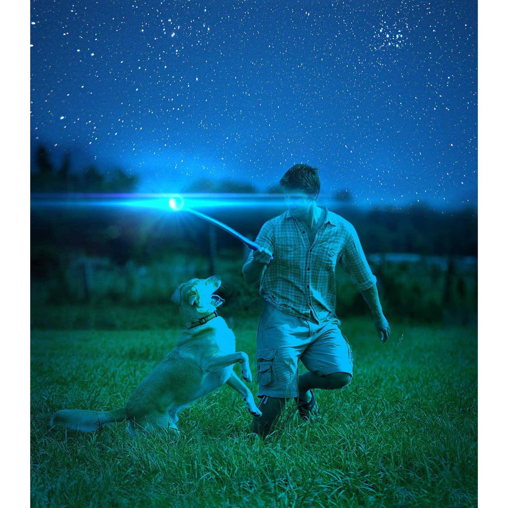 Light Up Fetch Ball for Dogs R3035