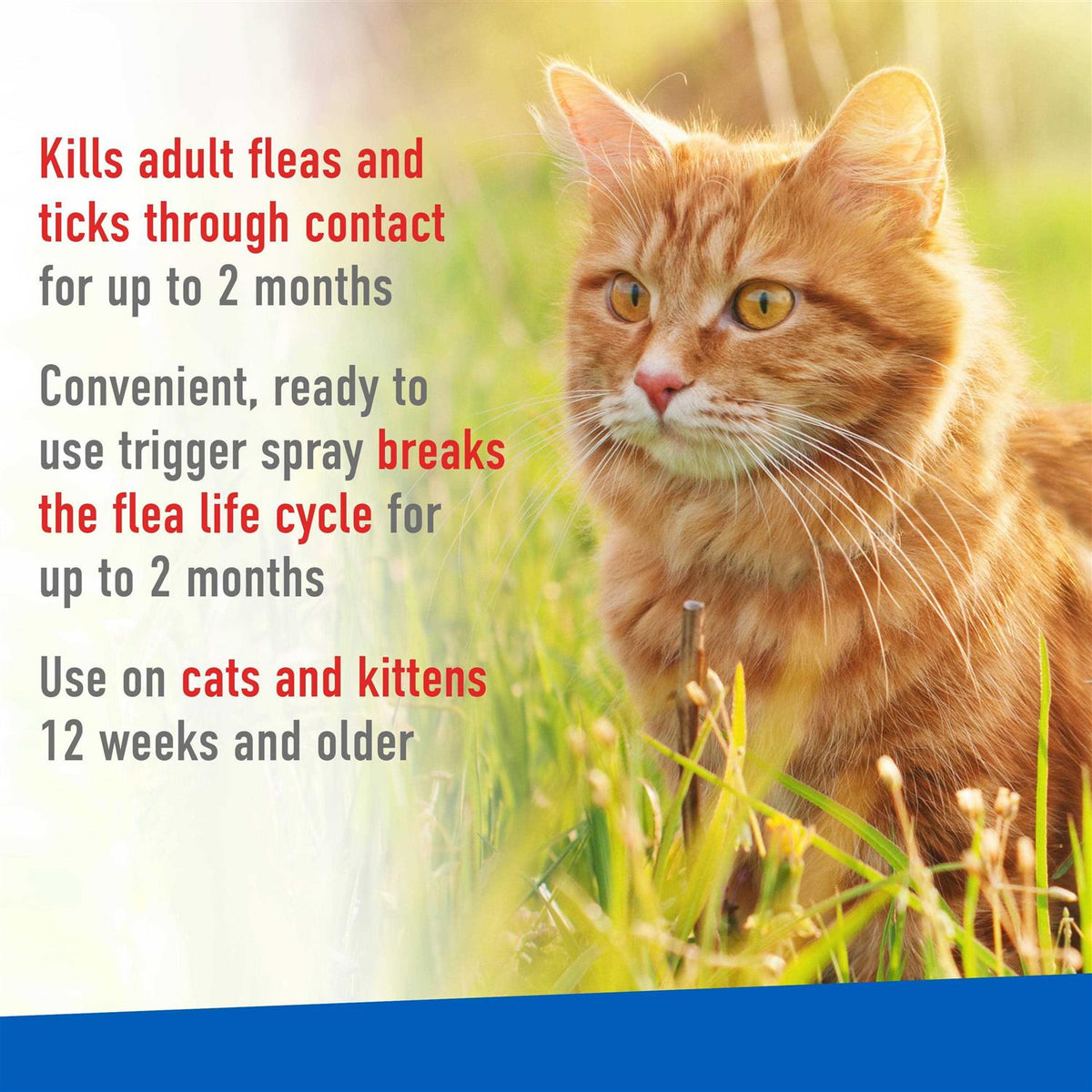 Flea and Tick Spray for Cats G920
