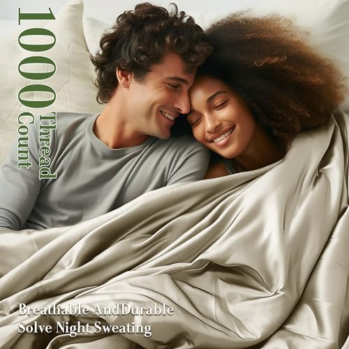 Queen Size 1000 Thread Count 100% Egyptian Cotton Sheets Set - 4 Piece (Dark Grey) W39553
