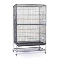 Extra Large Wrought Iron Flight Cage V62424