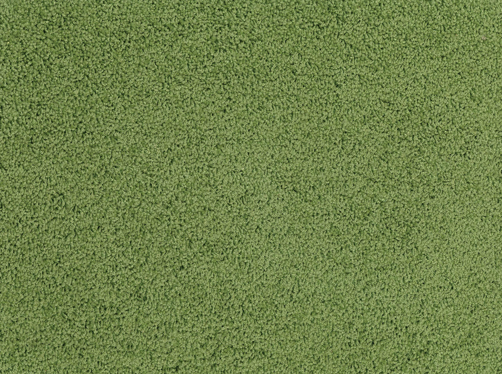Grass Green 4x6 Rectangle Kids Carpet M162941