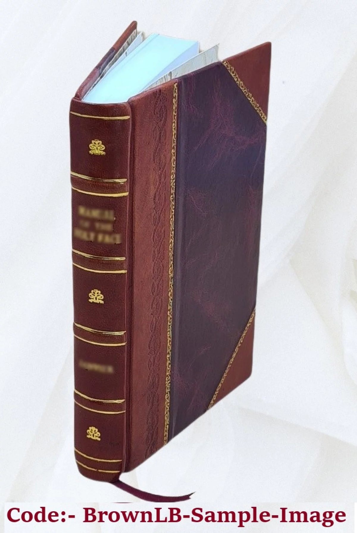 Water Supply of the United States 1958 Snake River Basin Leather Bound Y244