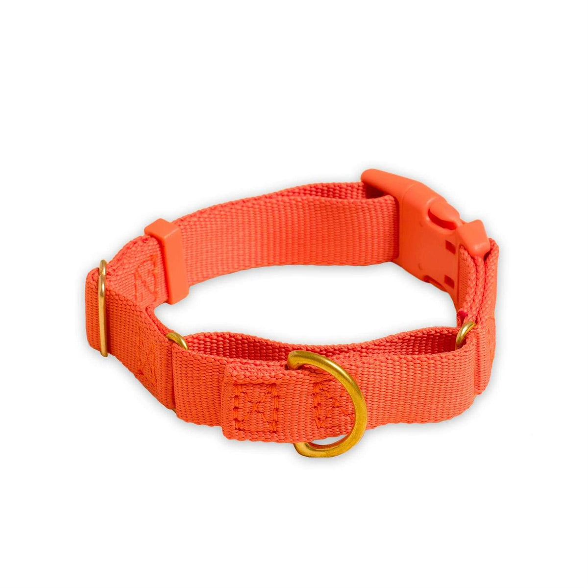 Martingale Dog Collar Y347