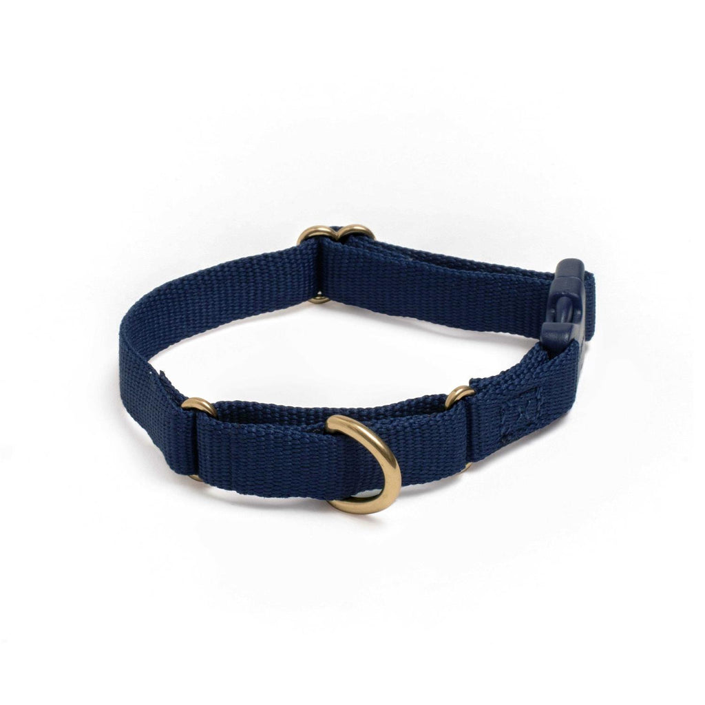 Martingale Dog Collar Y347