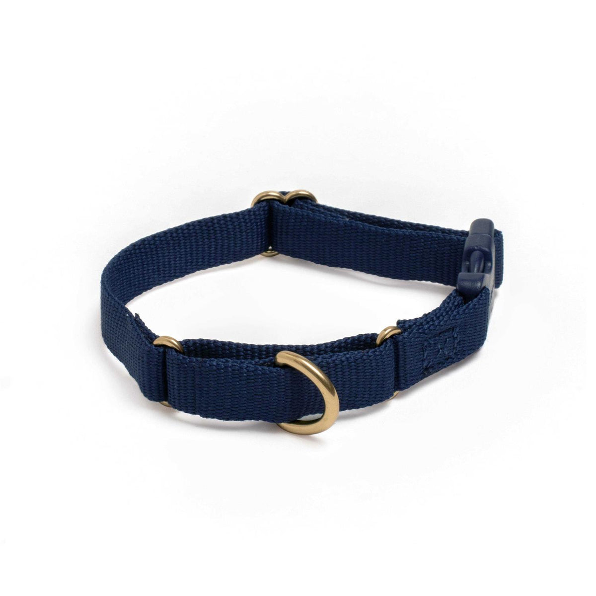 Martingale Dog Collar Y347