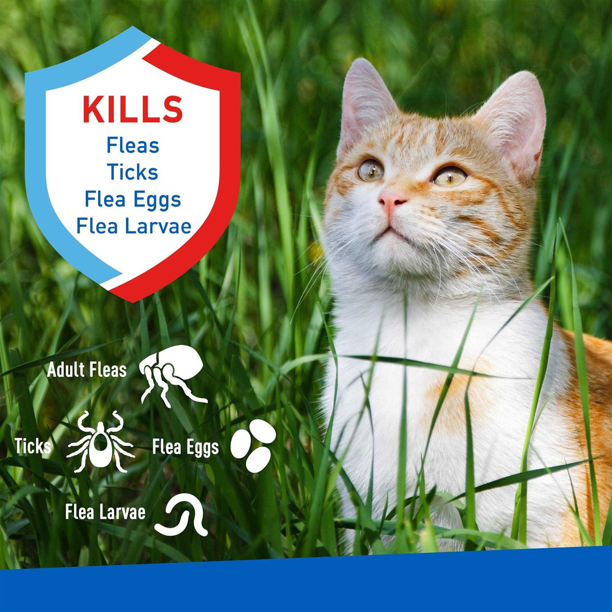 Flea and Tick Spray for Cats G920