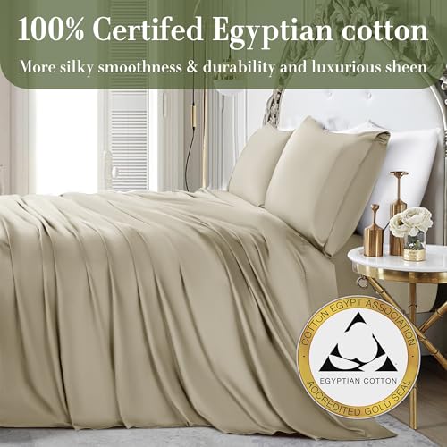 Queen Size 1000 Thread Count 100% Egyptian Cotton Sheets Set - 4 Piece (Dark Grey) W39553