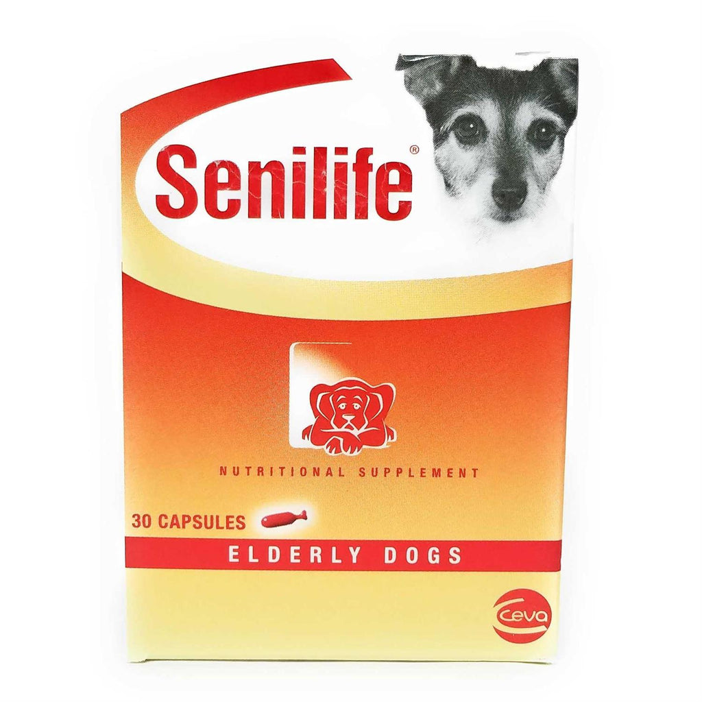 Nutritional Supplement for Elderly Dogs K631