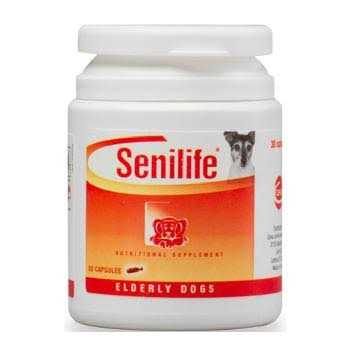 Nutritional Supplement for Elderly Dogs K631