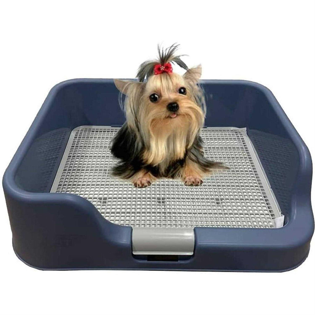 Indoor Dog Potty Tray with Protection Wall P1667