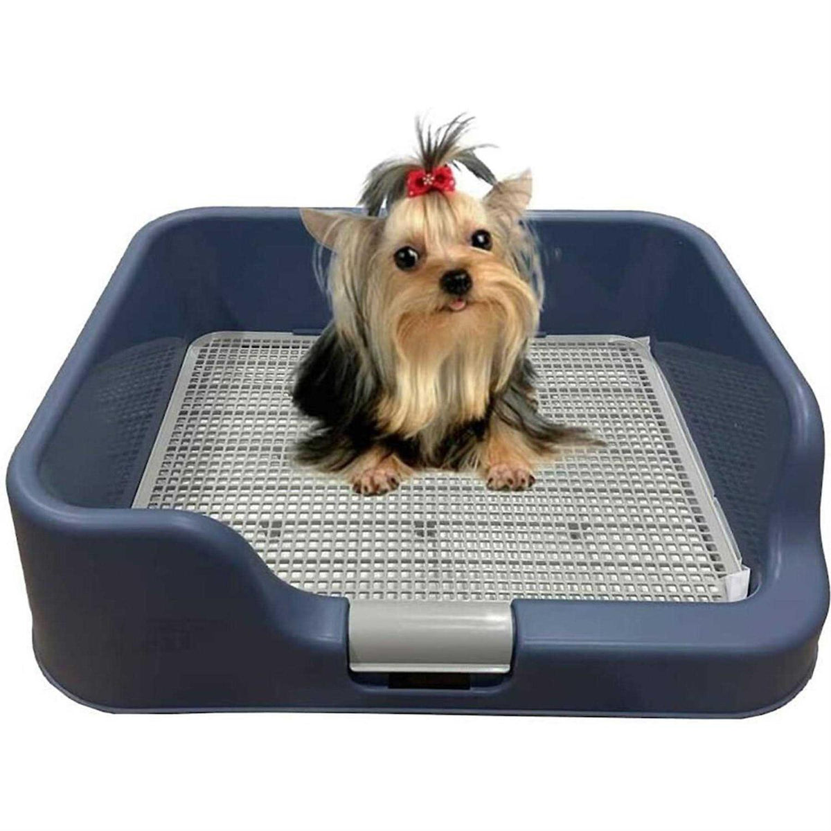 Indoor Dog Potty Tray with Protection Wall P1667