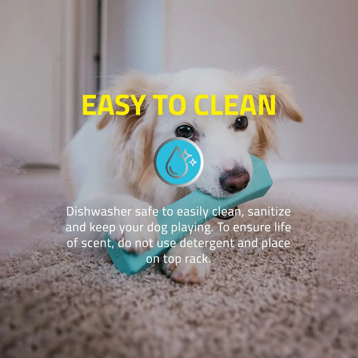 Blue Squeaky Dog Chew Stick Toy O6408