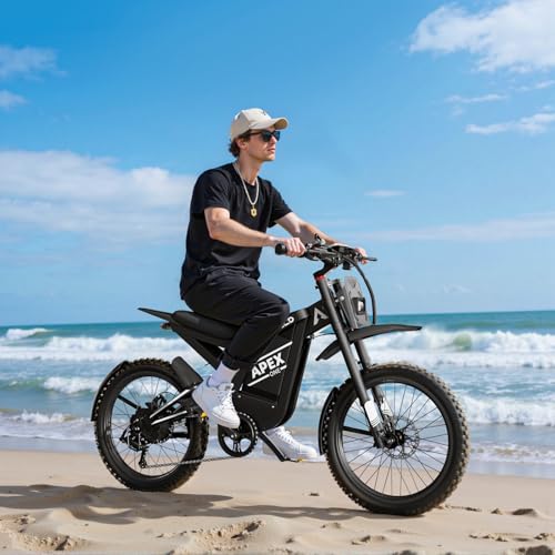 Electric Dirt Bike with 3000W Brushless Motor and 48V 30AH Battery V850