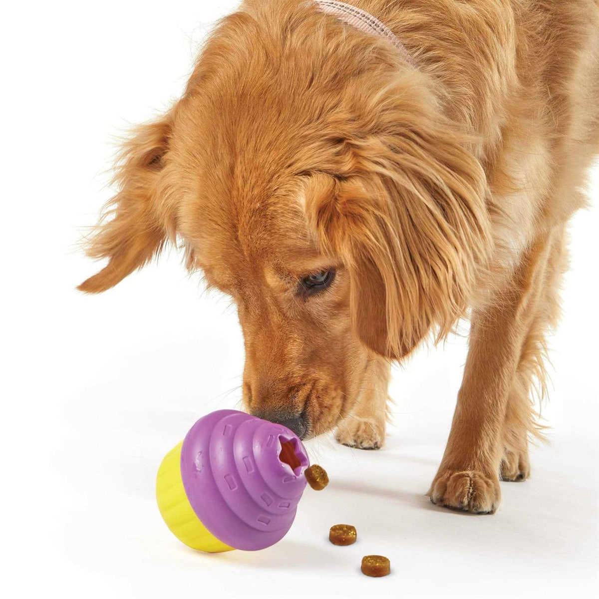 Cupcake Dog Treat Dispenser E687