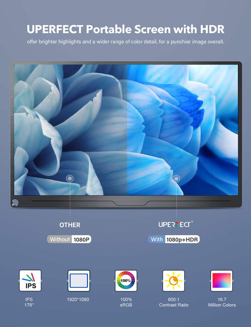 15.6'' Portable Monitor 100% sRGB FHD IPS USB C A81042