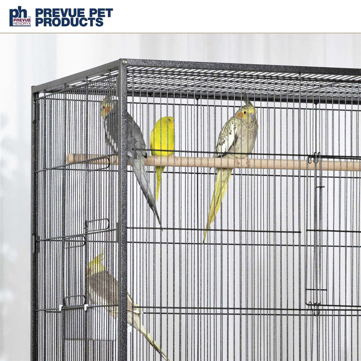 Extra Large Wrought Iron Flight Cage V62424