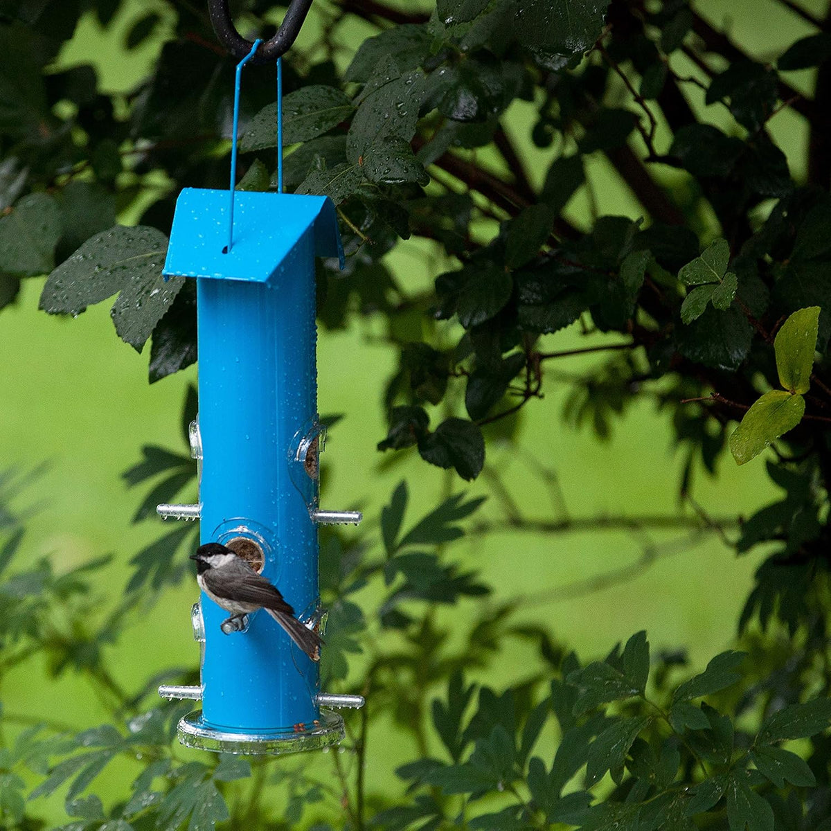 Blue Metal Tube Wild Bird Feeder F78268