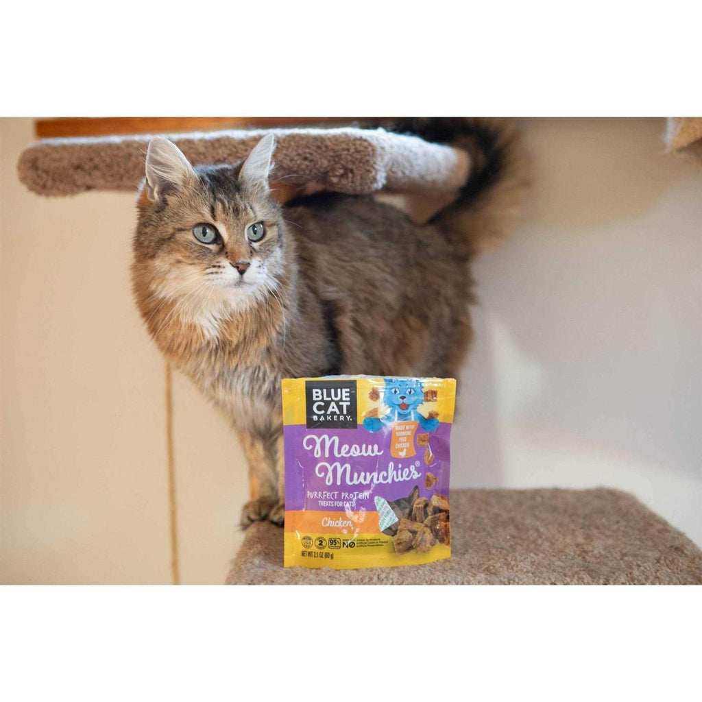 Blue Cat Bakery Meow Munchies Cats W66506