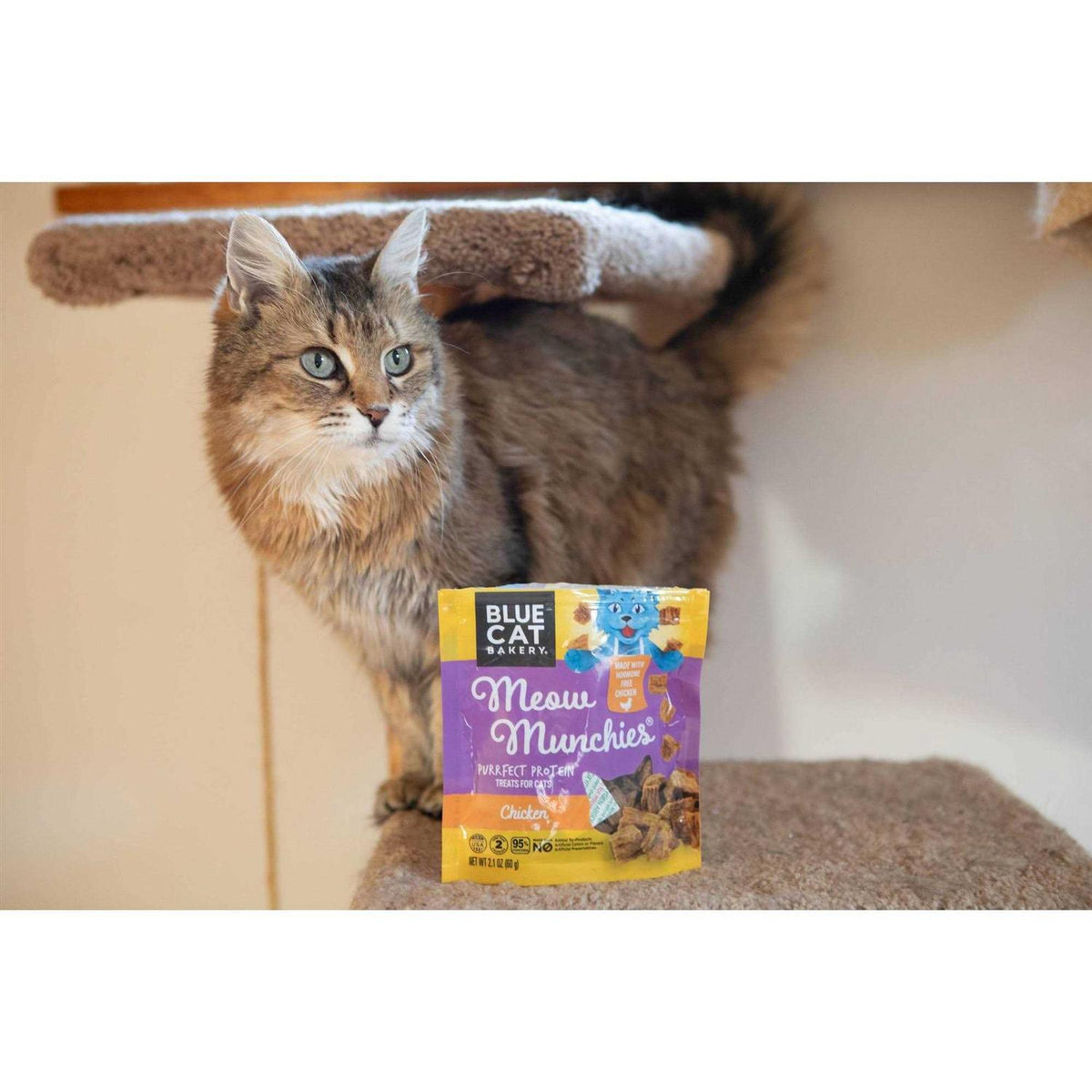 Blue Cat Bakery Meow Munchies Cats W66506