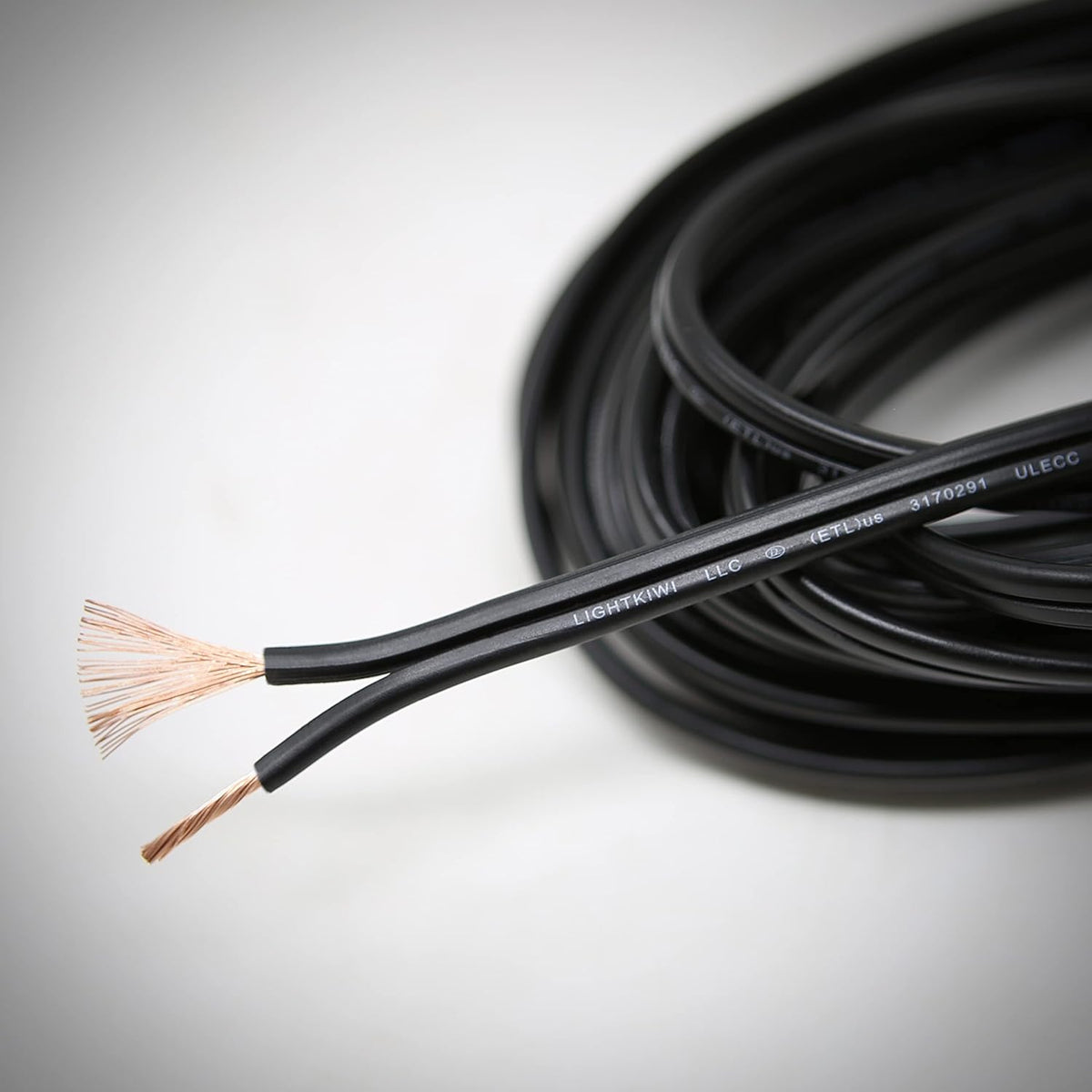 10-Gauge 2-Conductor Low Voltage Landscape Wire 250 Feet Z84364