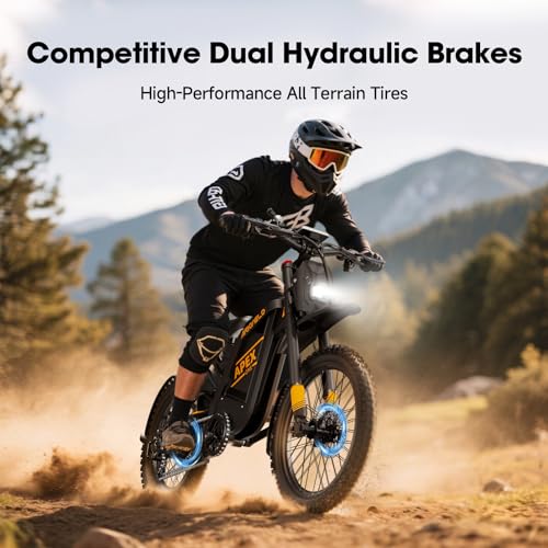 Electric Dirt Bike with 3000W Brushless Motor and 48V 30AH Battery V850