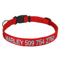 Nylon Personalized Dog Collar V727158