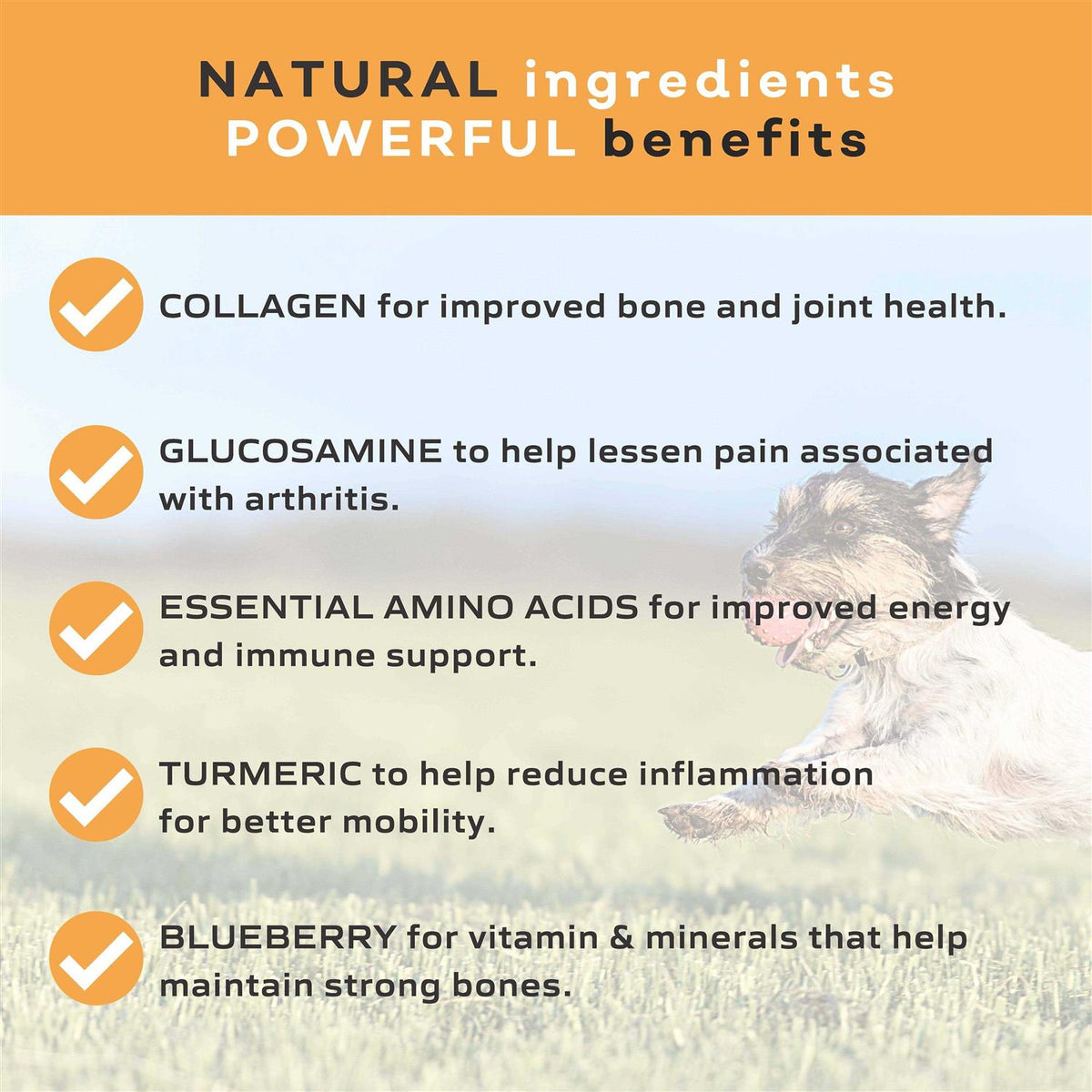 Collagen Chew for Dogs I155465