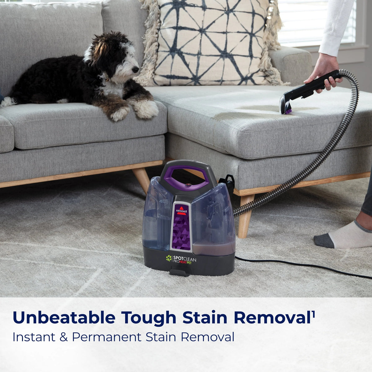 Portable Carpet Cleaner O3947