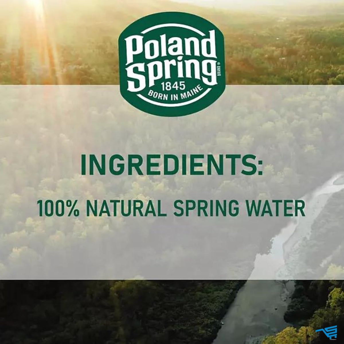 16.9 Fl Oz 40 Pack Spring Water G160