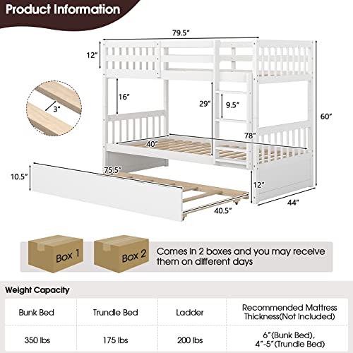 White Twin Over Twin Bunk Bed with Trundle T4839